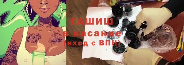 сатива Белокуриха