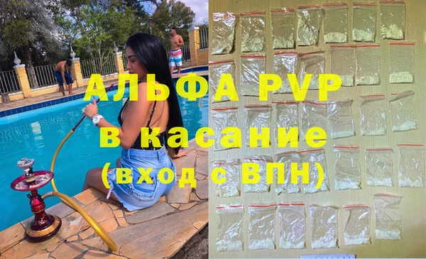 сатива Белокуриха