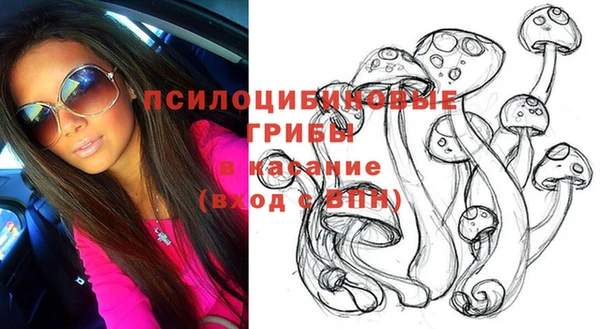 дживик Сосновоборск