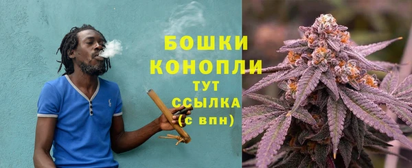 сатива Белокуриха
