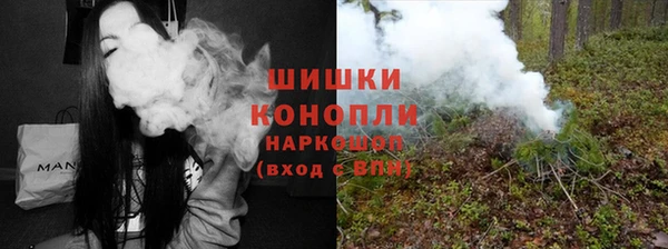 сатива Белокуриха