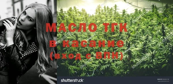 сатива Белокуриха