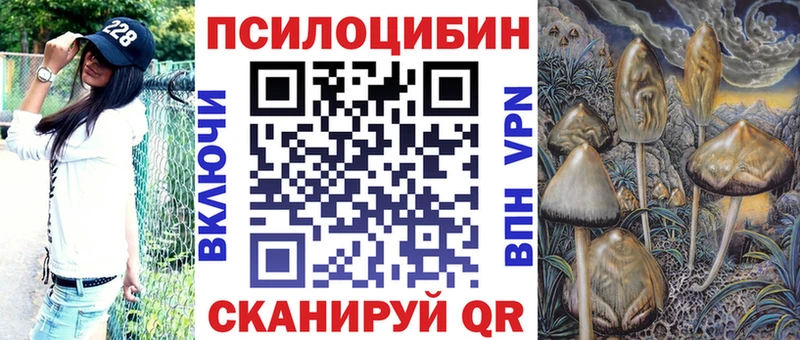 Псилоцибиновые грибы Psilocybine cubensis  цены   Красный Холм 